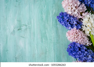 beautiful hyacinth flower on turquoise wooden surface Stock Photo