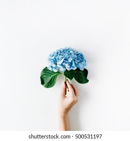 ดอกไม้ไฮเดรนเยียที่สวยงามในมือของหญิงสาวที่แยกอยู่บนพื้นหลังสีขาว วางแบนมุมมองด้านบน ภาพถ่ายสต็อก