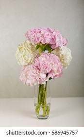 Beautiful Hydrangea In A Vase