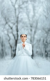 Beautiful Ice Queen in Winter Wonderland. Portrait of pretty ice princess in fantasy story tale
