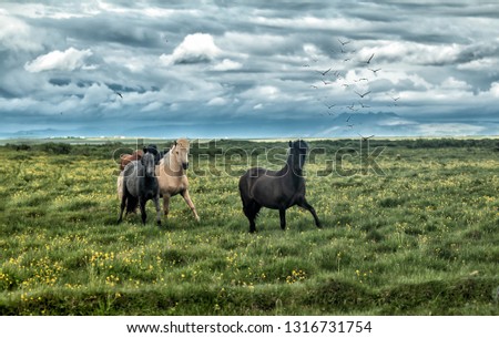 Similar – Image, Stock Photo cowboys Organic produce