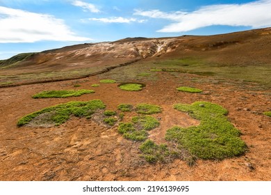 Beautiful Icelandic Landscape With Bizarre Grass Patterns.