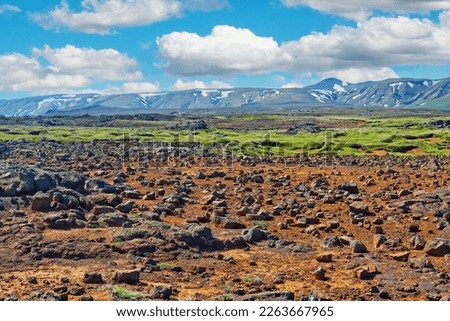 Beautiful icelandic volcanic landscape, lava stone field, grean meadow, mountain range - Iceland, Highlands 