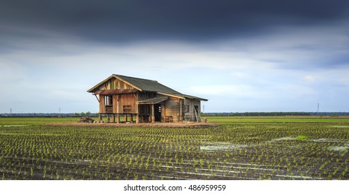 Beautiful Image of a Abandoned house at paddy field - Shutterstock ID 486959959