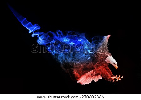 beautiful image of a bald eagle.. animal kingdom. flying bird. wildlife picture. great  tattoo.
american flag. stars and stripes. amazing american symbol.