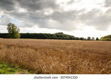 Beautiful Image Of The Buckinghamshire Countryside In England