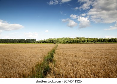 Beautiful Image Of The Buckinghamshire Countryside In England