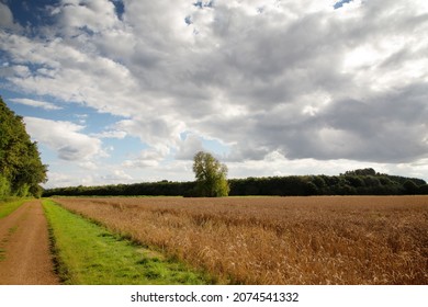 Beautiful Image Of The Buckinghamshire Countryside In England