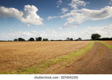 Beautiful Image Of The Buckinghamshire Countryside In England