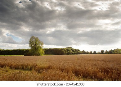 Beautiful Image Of The Buckinghamshire Countryside In England