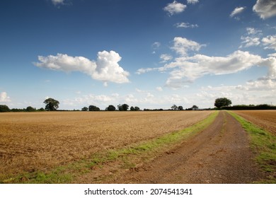 Beautiful Image Of The Buckinghamshire Countryside In England