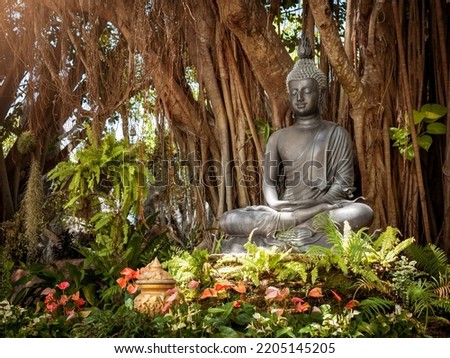 Beautiful image of Buddha on a tree. Buddha image. Buddha image in Dhyana posture. Buddha in Dhyana posture at White Temple in Chiang Rai, Thailand
