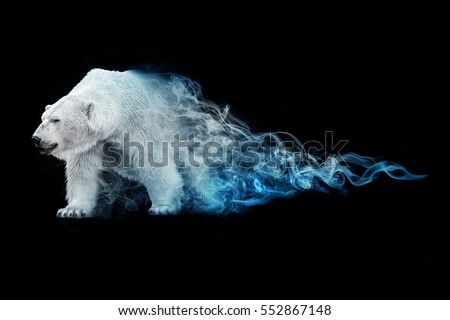beautiful image of a polar bear, animal kingdom, south pole, antarctic wildlife, north pole