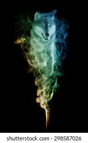 beautiful image of a wolf.. animal kingdom. jumping out of the smoke. wildlife picture. great  tattoo, zoo
love bird. tropical
