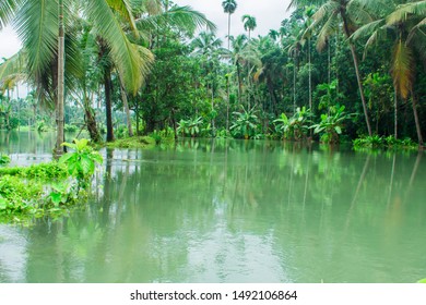 Beautiful Images From Gods Own Country Kerala