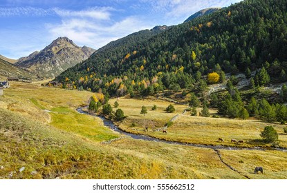 Beautiful Incles valley in Andorra