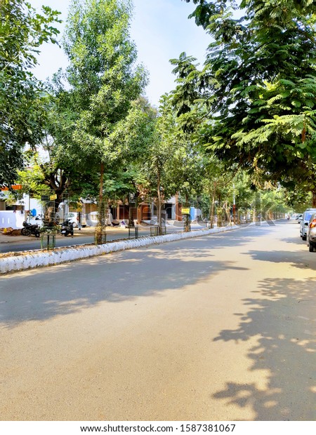 beautiful indian\
street with trees on\
divider