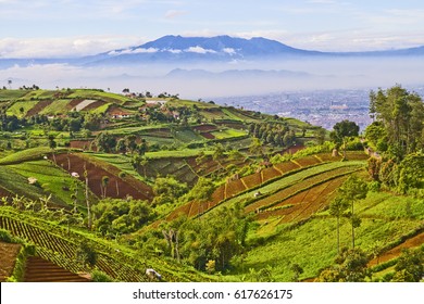 Beautiful Indonesian Landscape, West Java, Bandung View