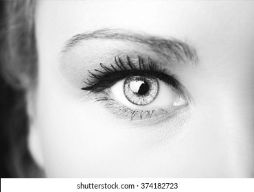 Beautiful Insightful Look Eyes