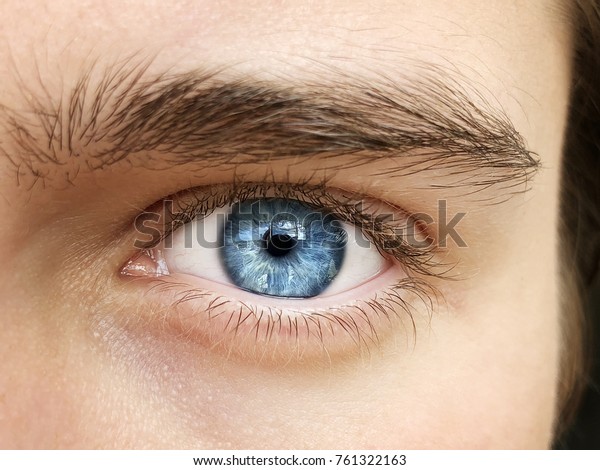 Un Beau Regard Perspicace Pour L Oeil Photo De Stock Modifiable