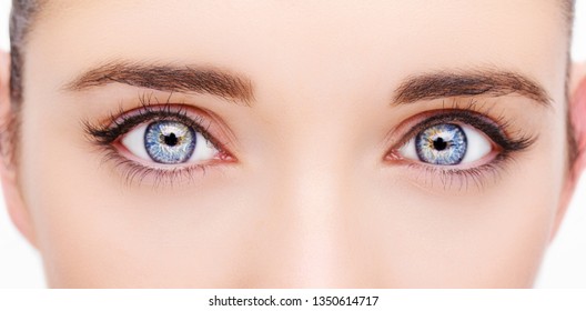 318,966 Focused eyes Images, Stock Photos & Vectors | Shutterstock