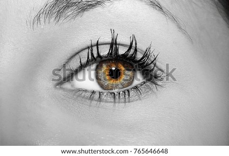 Similar – Image, Stock Photo fairy eyes Pupil Eyelash