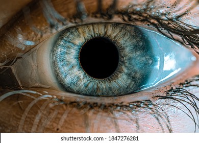 Beautiful Iris - Close Up Of Woman Eye