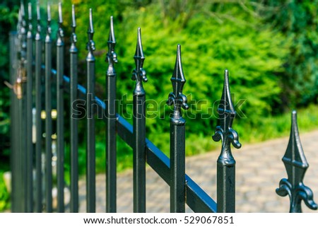 Beautiful Iron Fence with green background