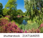 Beautiful Isabella Plantation garden in Richmond Park in summer season, London