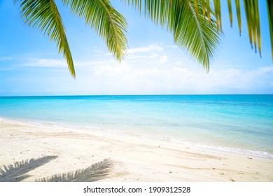 Beautiful Island with Ocean Wave on Sandy Beach and Coconut tree