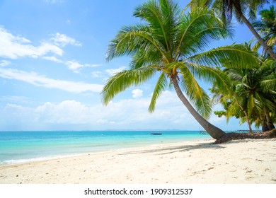 416,487 Coconut tree beach Images, Stock Photos & Vectors | Shutterstock