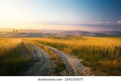 Beautiful italian summer mountain rural landscape; Panorama of summer golden field with dirt road and Sunset cloudy sky - Powered by Shutterstock