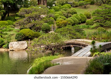 Beautiful Japanese Traditional Park Summer Time Stock Photo 1550664290 ...