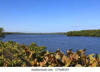 Beautiful John D MacArthur State Park On Singer Island, Florida