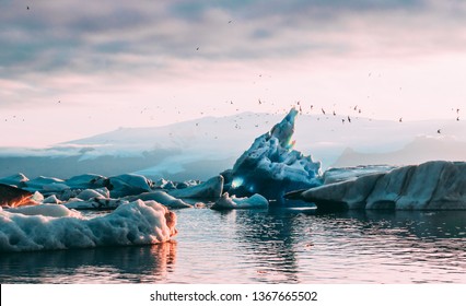 Beautiful Jokulsarlon glacial lagoon sunset sunrise blue icebergs floating  water reflection sky arctic tern birds flying and glacier on the background ice and fire Vatnajokull National Park Iceland