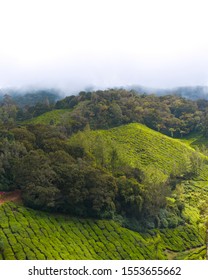 Beautiful Kannan Devan Hills In Kerala, Indian