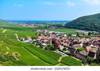 Beautiful Kaysersberg village with winery green view which is considered one of the most charming cities in Alsace, with old style half-timbered houses. France