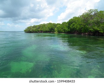 Beautiful Kenyan Beach Landscape In Africa