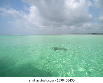 Beautiful Kenyan Beach Landscape In Africa