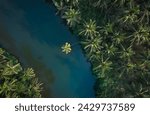 Beautiful Kerala backwaters surrounded with coconut trees, Aerial drone shot of tropical lake in Kannur, aerial Nature landscape scenery