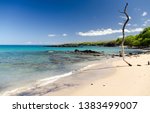 Beautiful kiawe trees framing serenity of Waialea  beach, Puako Bay, Waimea, Big Island, Hawaii