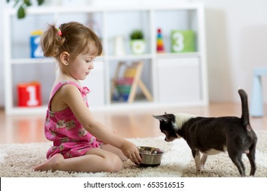 Beautiful Kid Girl Feeds Her Dog In The Living Room.