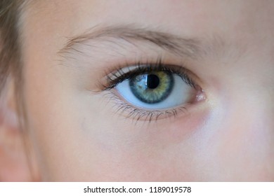 Beautiful Kid Green Eye With Long Eyelashes 