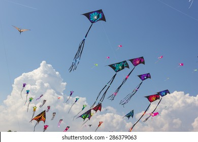 Beautiful Kites In A Kite Festival