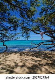 Beautiful Kona Beach In Hawaii