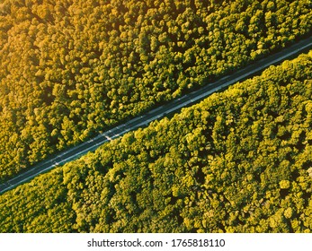 Beautiful ladscape photo from drone, top view of forest with asphalt road during sunset in a summer time.