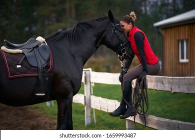 Beautiful lady sitting on a wooden fence near the horse