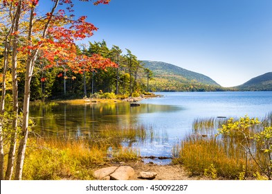 Beautiful Lake In Acadia National Park On A Clear Autumn Day