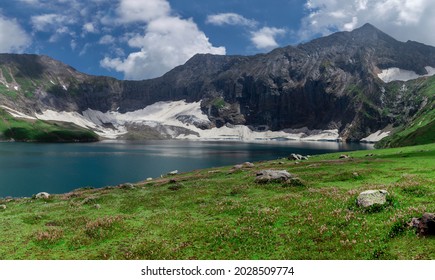 12,238 Kashmir forest Images, Stock Photos & Vectors | Shutterstock