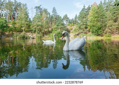 beautiful lake with a canyon on which swans swim with a blue sky close up - Shutterstock ID 2232878769